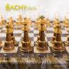 Obrázok 3 Chess men solid brass big staunton sets