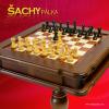 Talianský šachový stolík+ Backghamon+figúrky Stalion